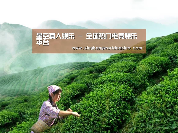 星空真人娱乐 - 全球热门电竞娱乐平台