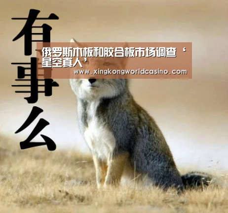 俄罗斯木板和胶合板市场调查‘星空真人’(图3) 星空平台