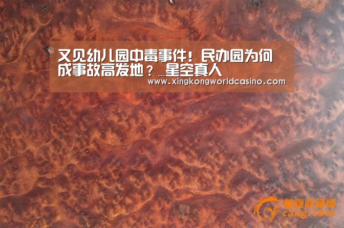 又见幼儿园中毒事件!民办园为何成事故高发地?_星空真人(图2) 星空竞猜